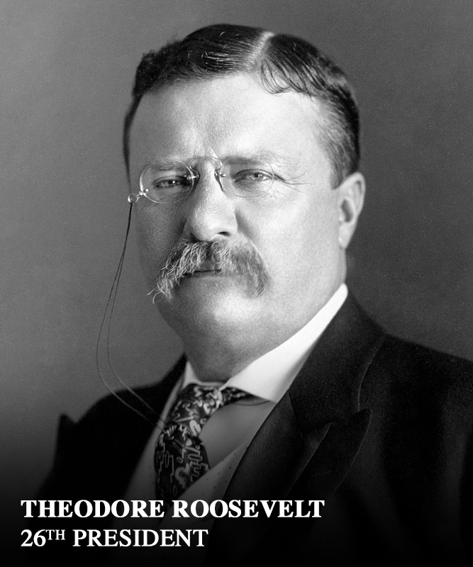 Theodore Roosevelt